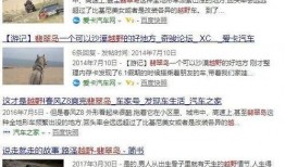 爆料秦皇岛视频最新版,事件全貌及幕后真相