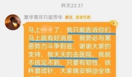 金华粉丝爆料案件最新,揭秘背后惊人真相！”